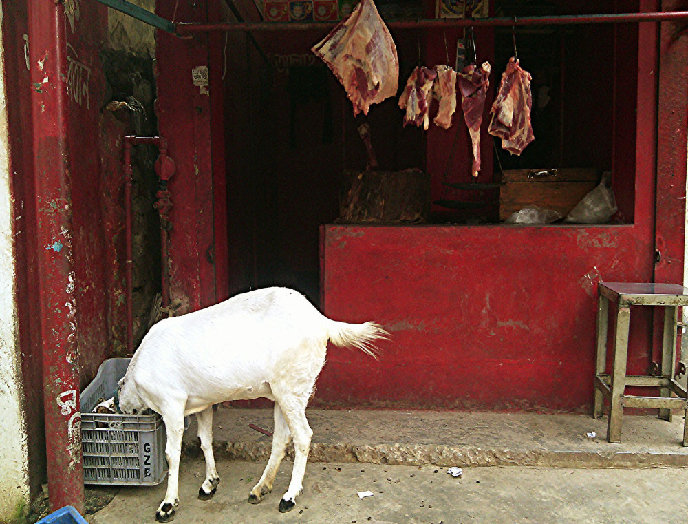 Mirpur, Dhaka, Bangladesh-October, 2015